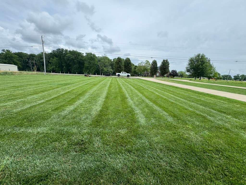 Clean lawn finish after mowing